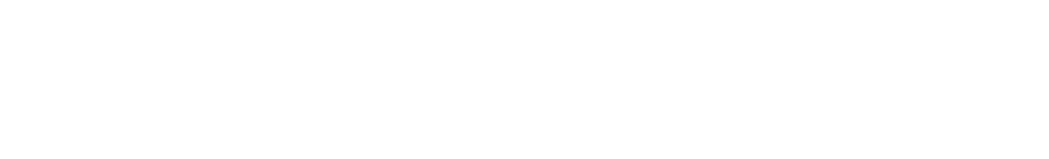 paripesa logo